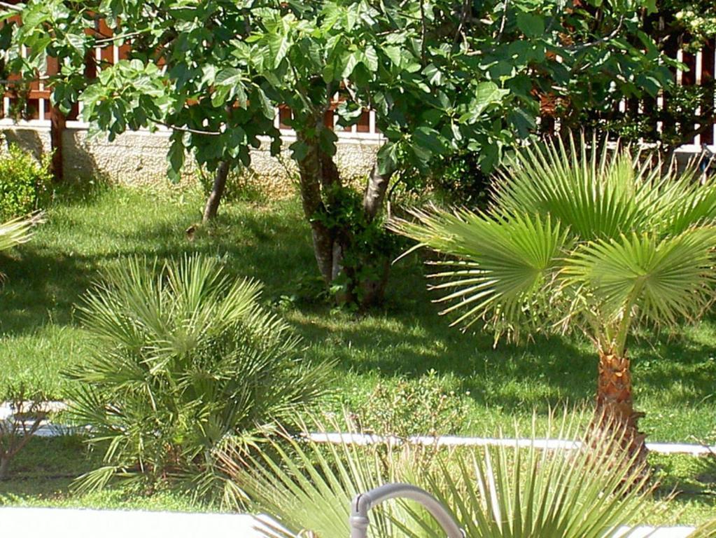 Baia Del Sole Hotell Paestum Eksteriør bilde